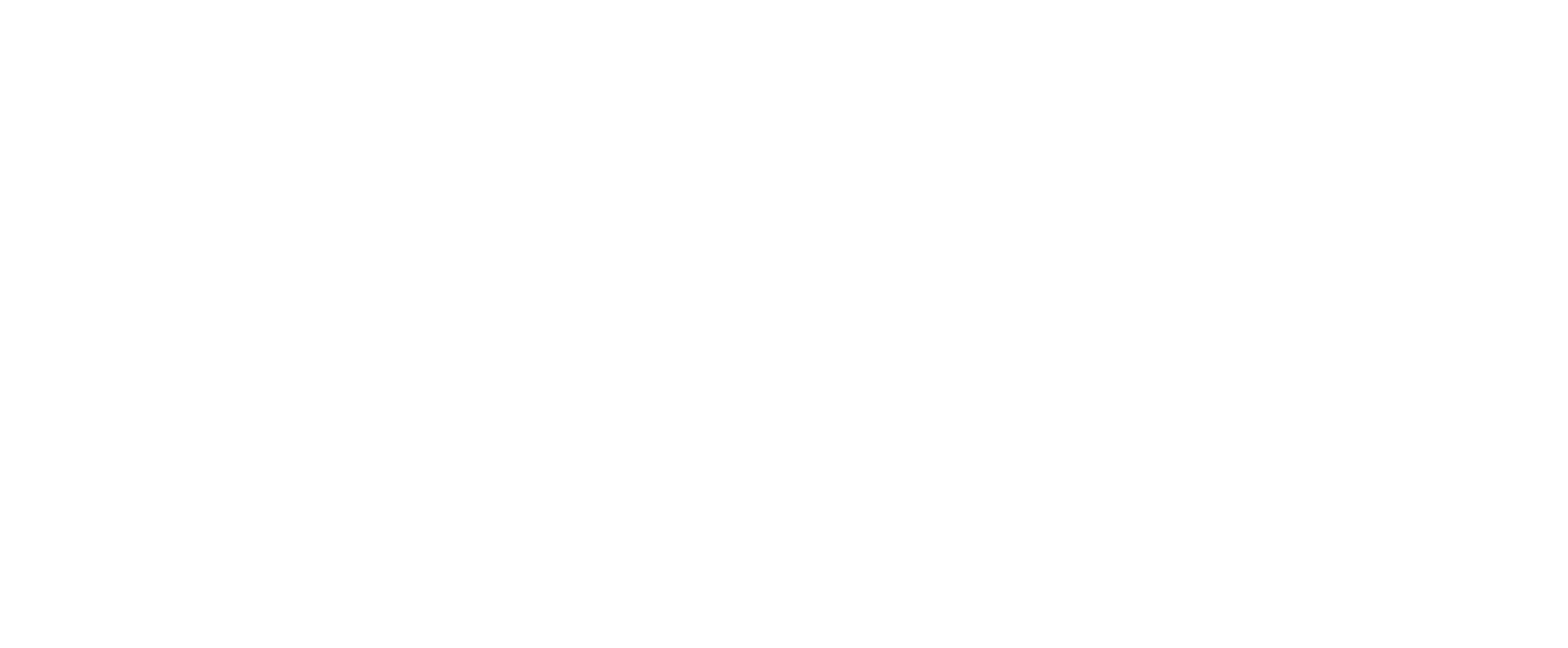 Slush'D